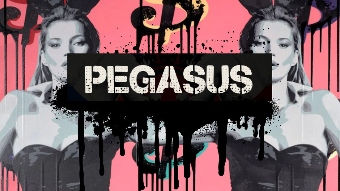 Pegasus Artist Feature - Punk meets Pretty