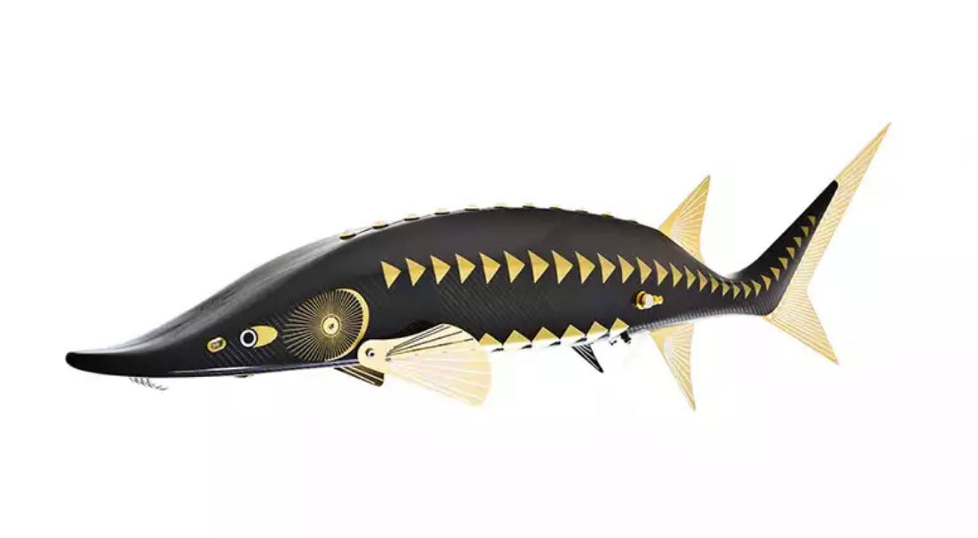 Carbon Sturgeon