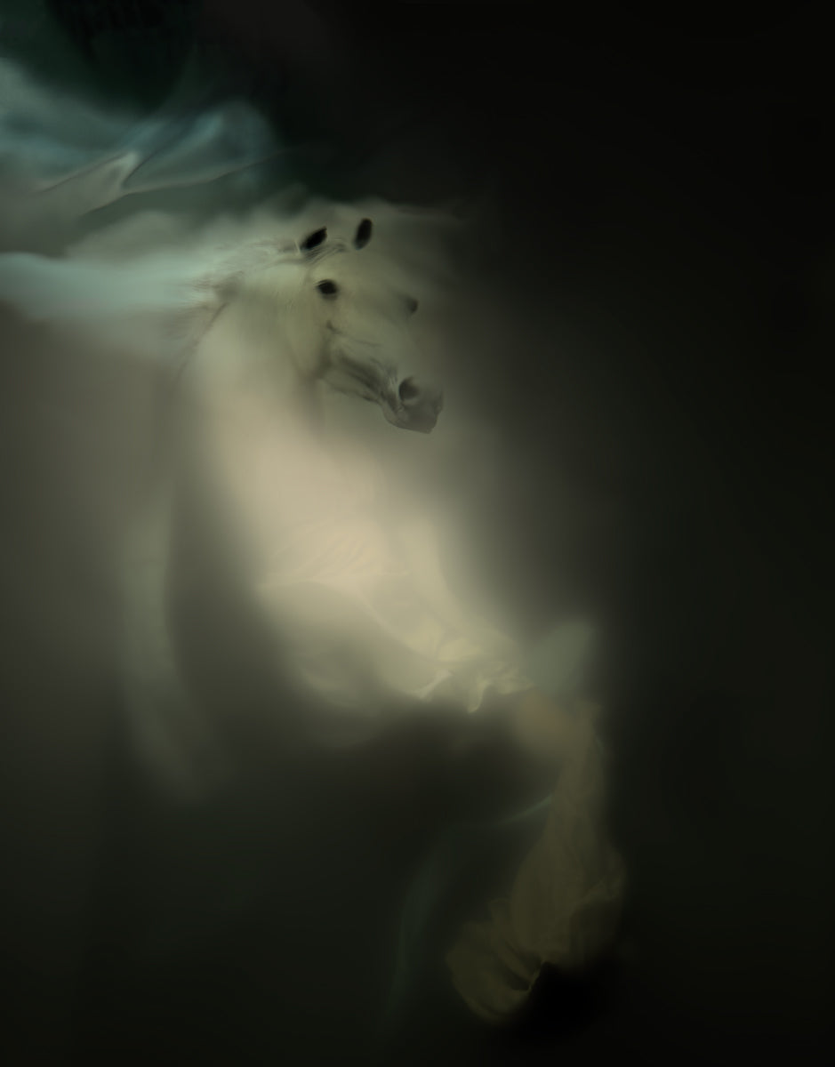 CHARIOT OF THE NIGHT